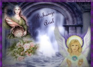 L’INCARNATION DU ROI